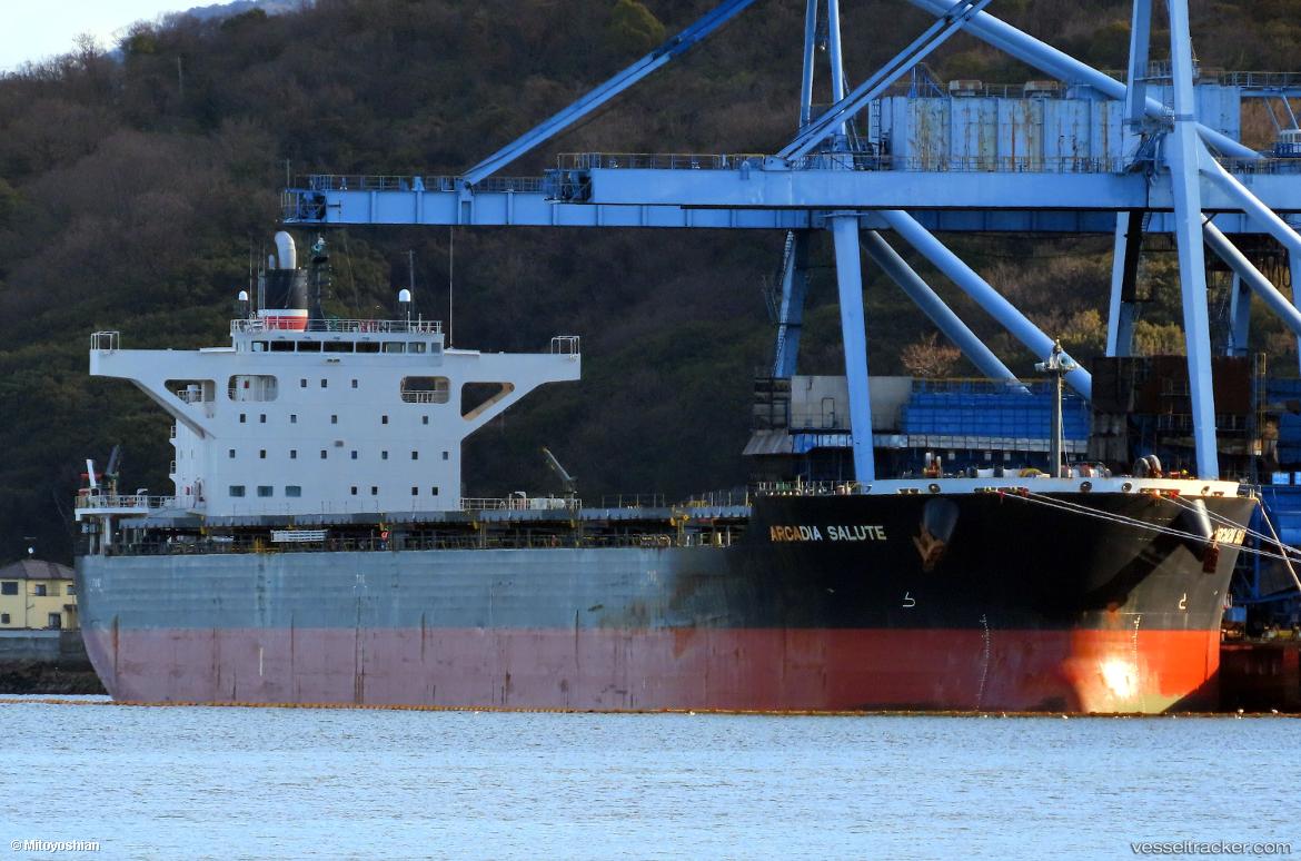 Arcadia-Salute - Bulk Carrier vessel