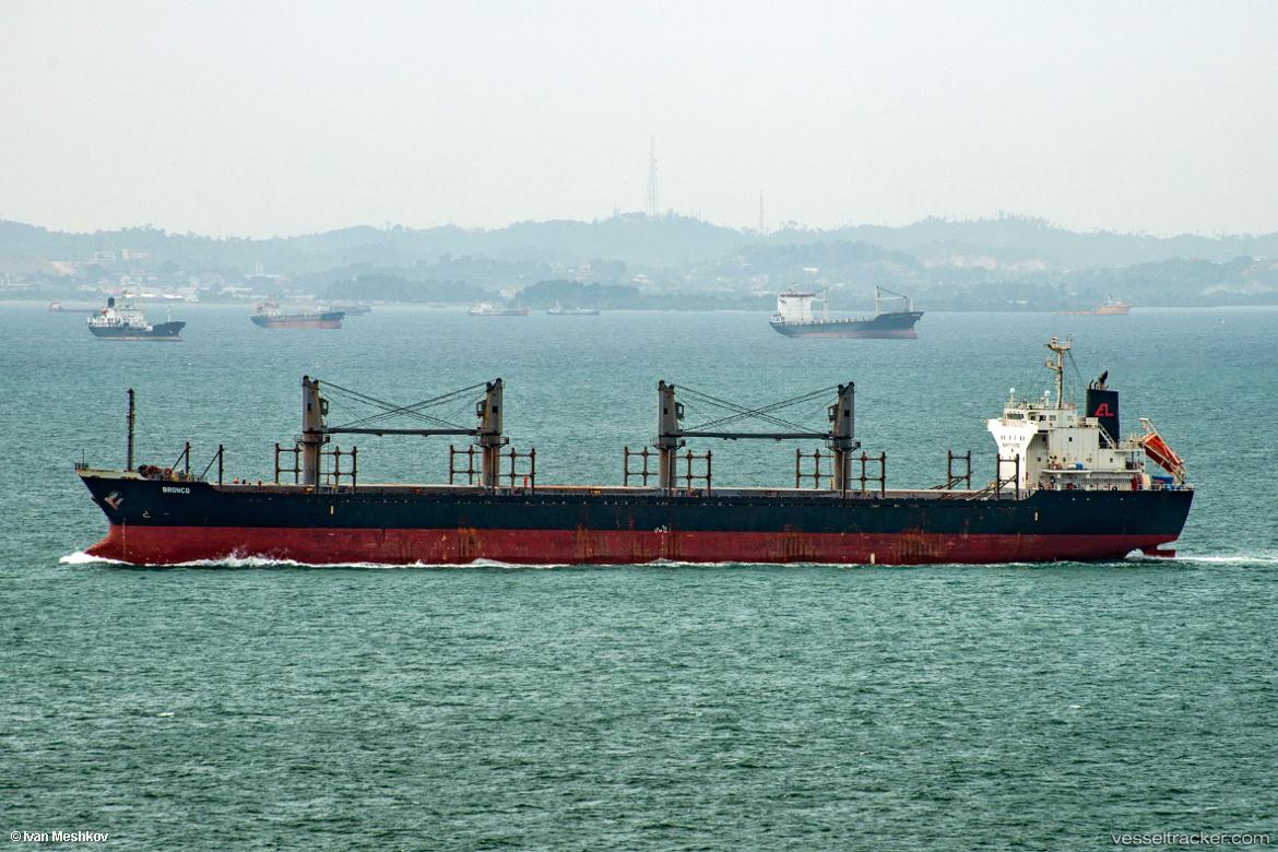 Bronco - Bulk Carrier vessel
