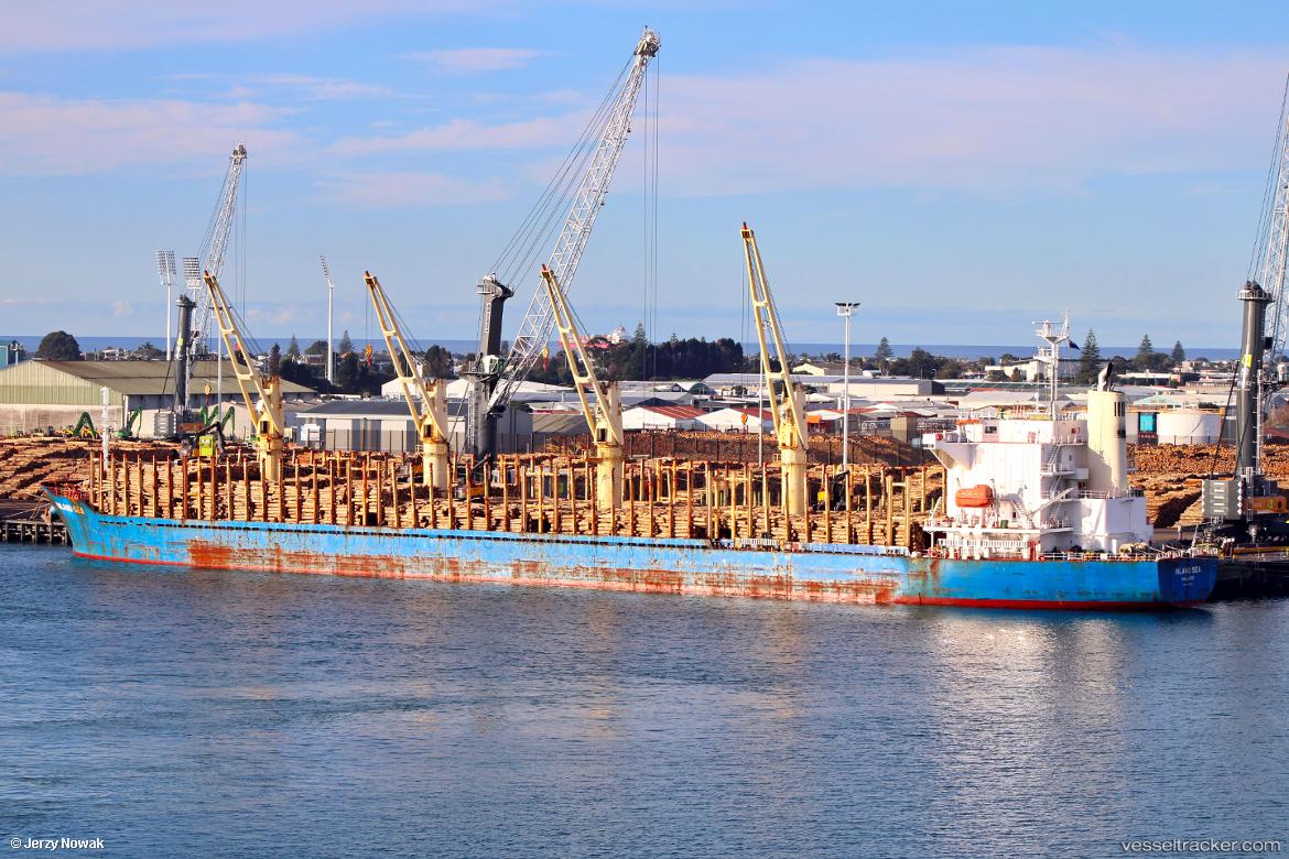 Inland-Sea - Bulk Carrier vessel