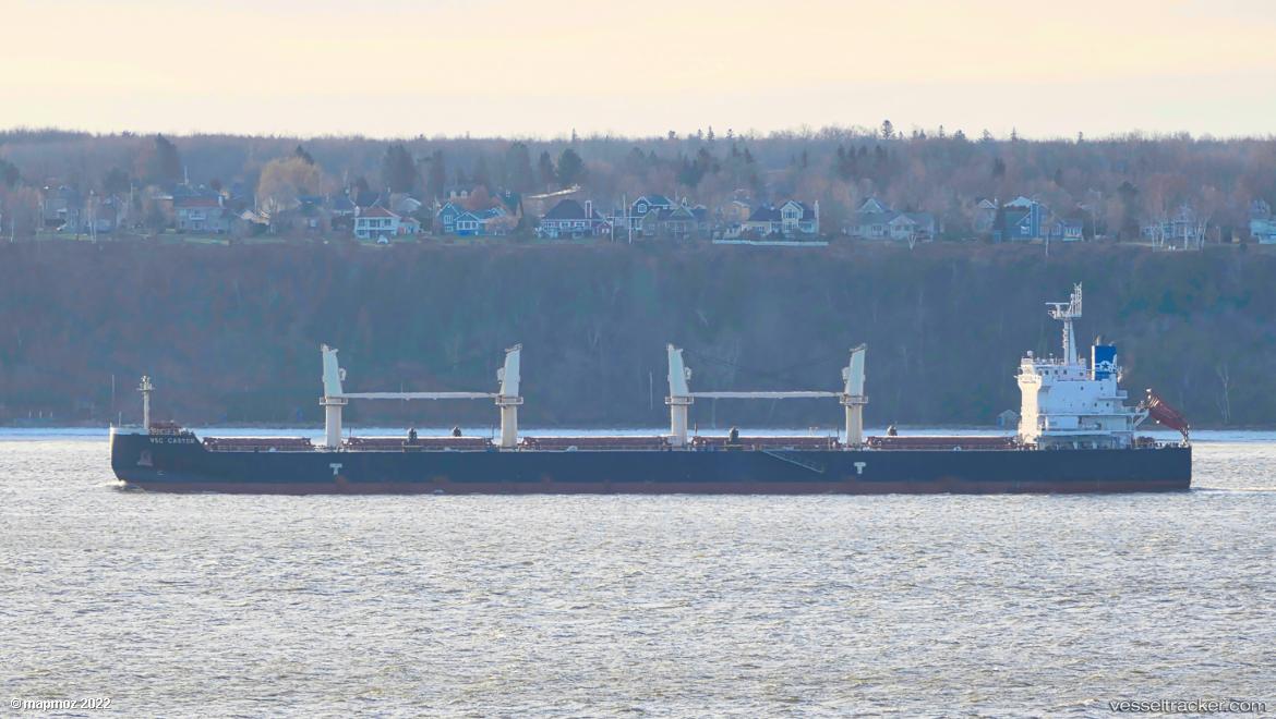 Vsc-Castor - Bulk Carrier vessel
