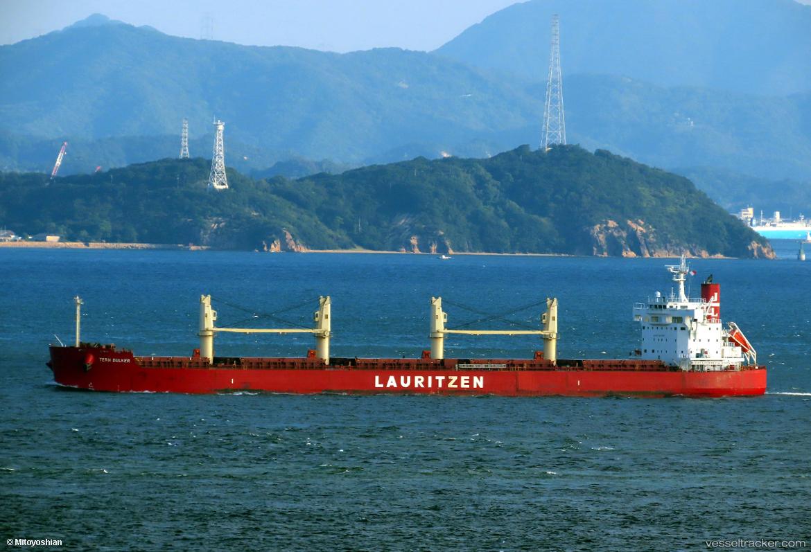 Tern-Bulker - Bulk Carrier vessel