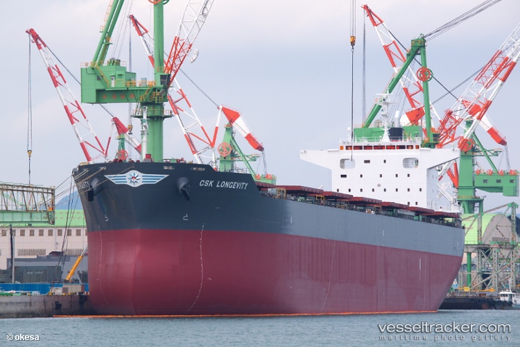 Csk-Longevity - Bulk Carrier vessel