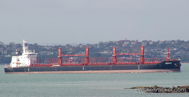 Navision-Vincentz - Bulk Carrier vessel