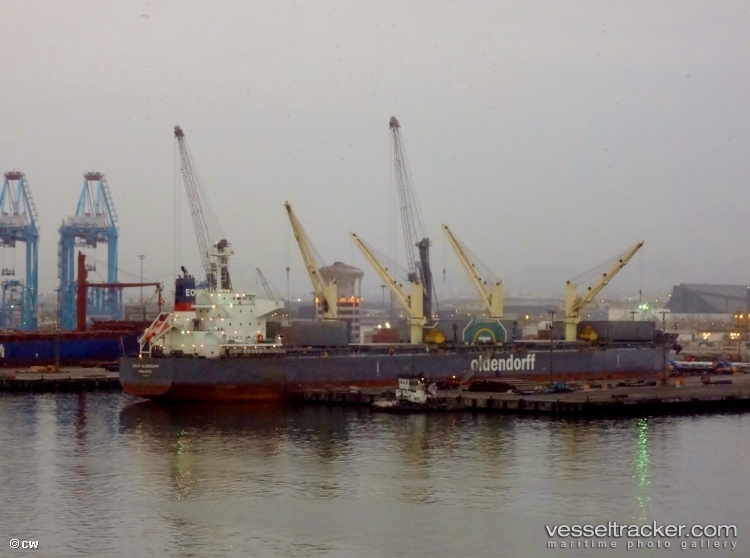 Zh-Chang-Xing - Bulk Carrier vessel