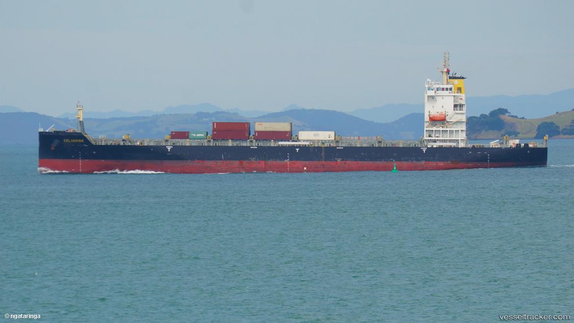 Celandine - Container Ship vessel