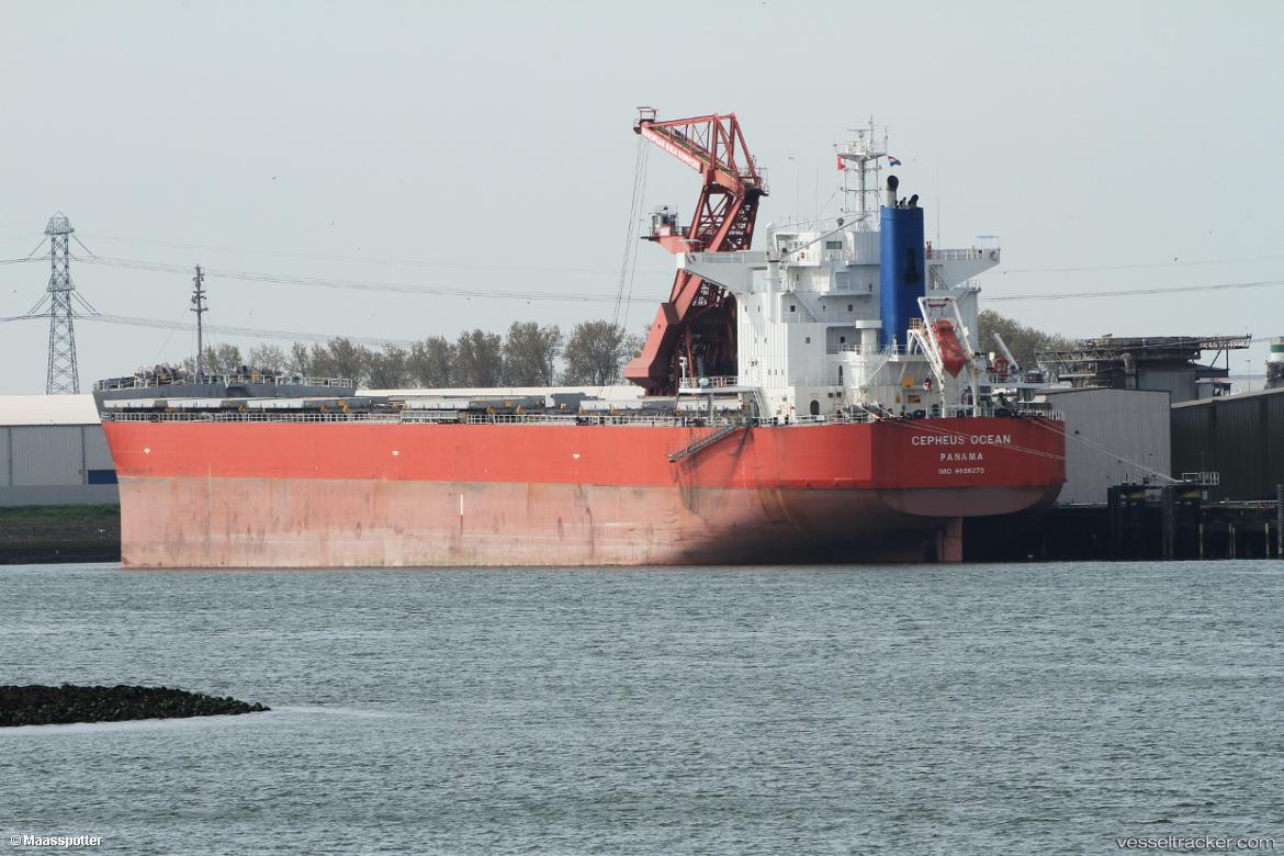 Cepheus-Ocean - Bulk Carrier vessel