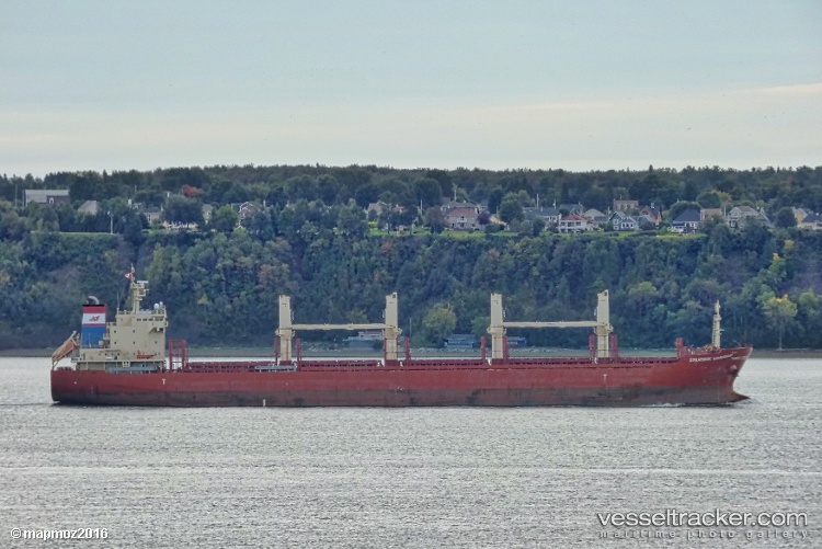 Strategic-Savannah - Bulk Carrier vessel