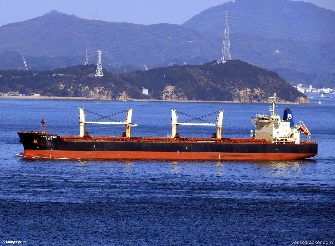 Young-Harmony - Bulk Carrier vessel