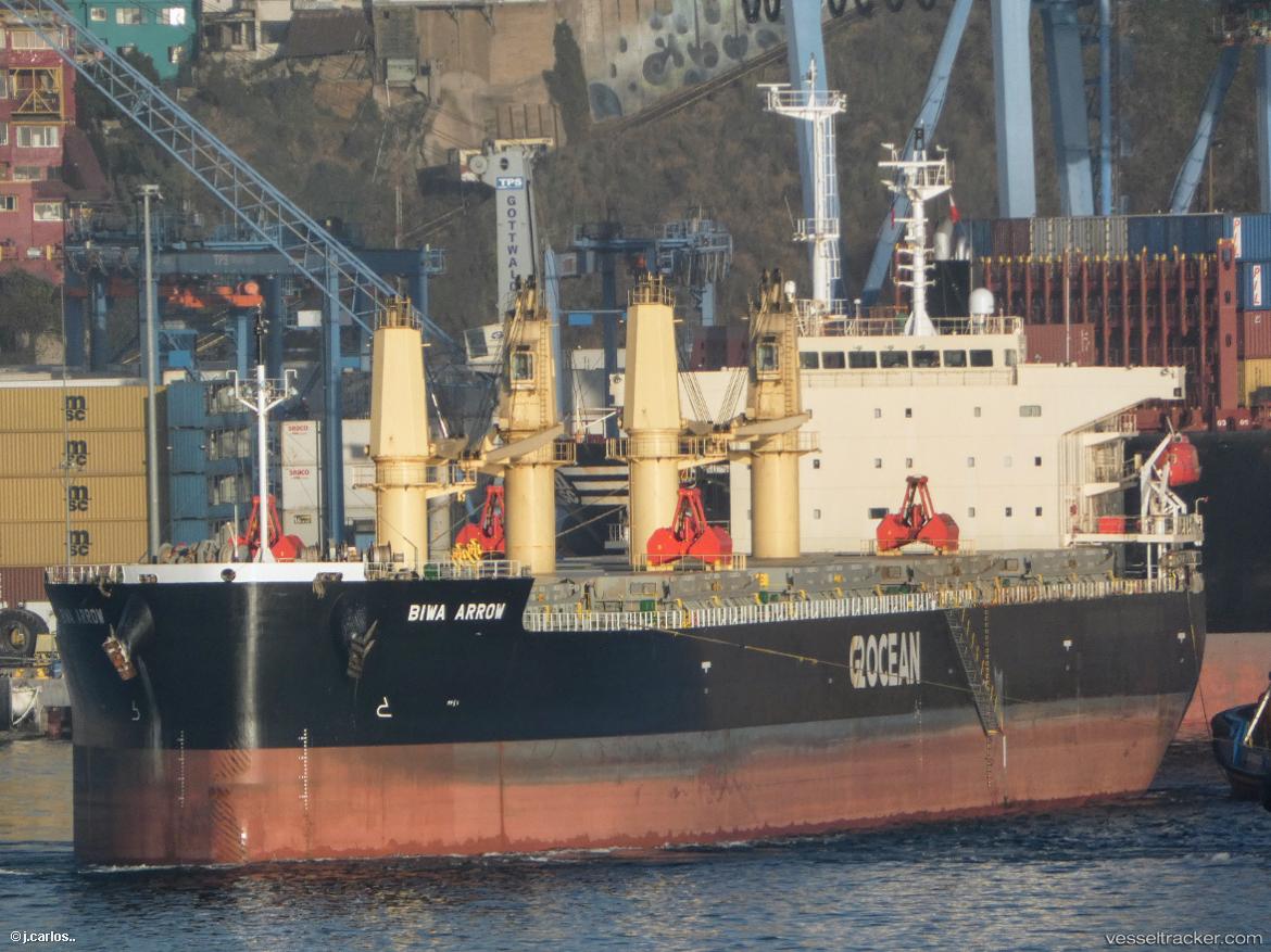 Biwa-Arrow - Bulk Carrier vessel