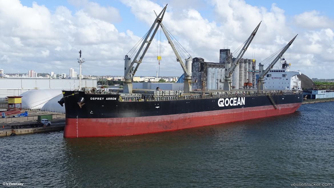 Osprey-Arrow - Bulk Carrier