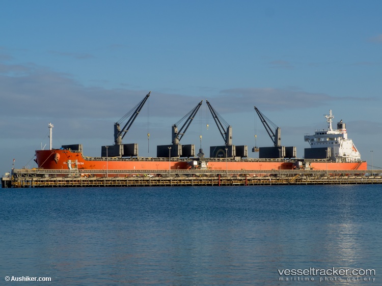 Global-Vision - Bulk Carrier vessel