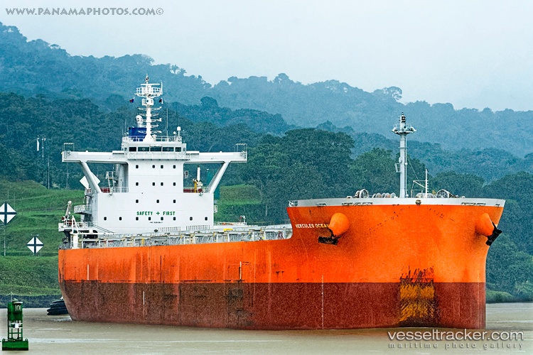 Hercules-Ocean - Bulk Carrier vessel