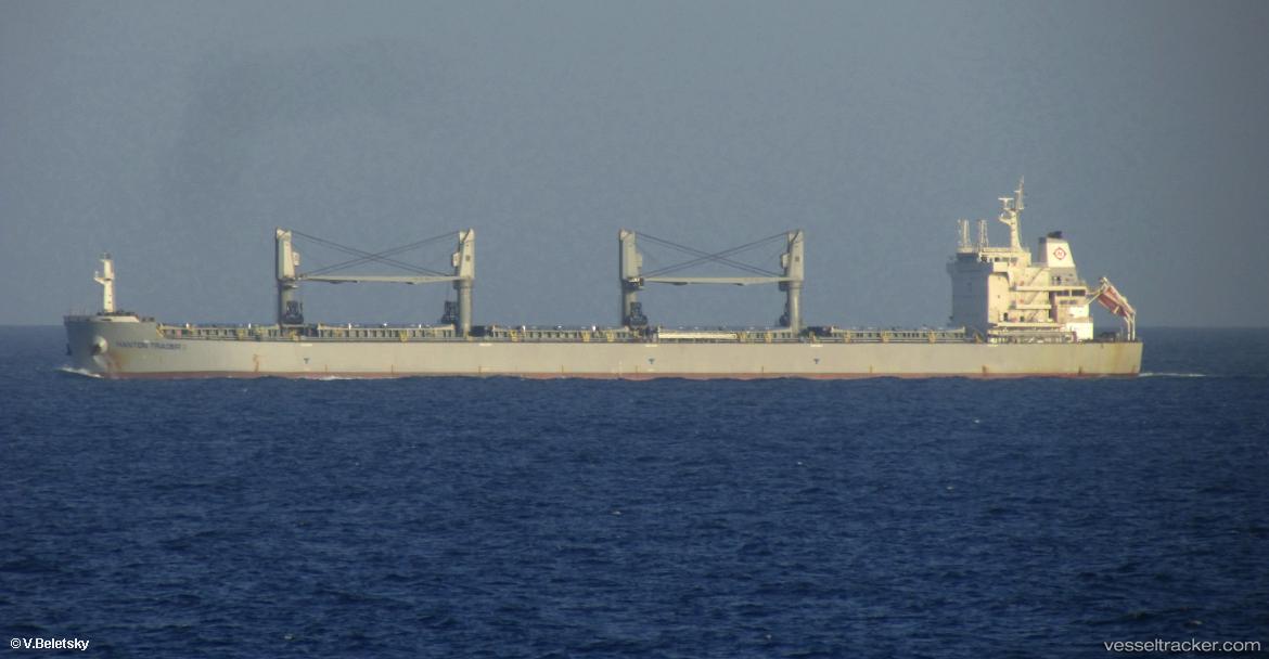 Jin-Ping - Bulk Carrier vessel