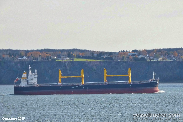 Rigi-Venture - Bulk Carrier vessel