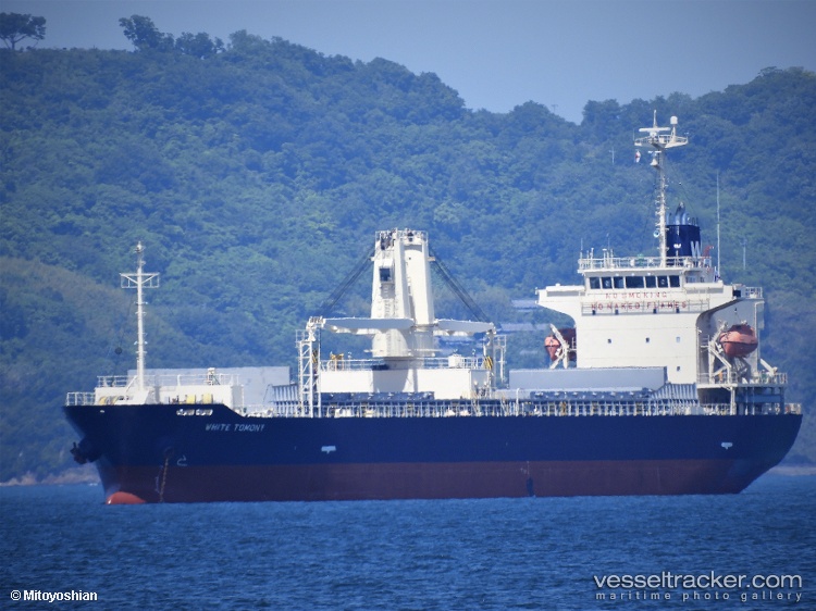 White-Tomony - General Cargo Ship vessel