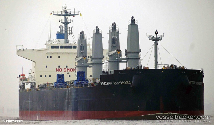 Blue-Akihabara - Bulk Carrier vessel