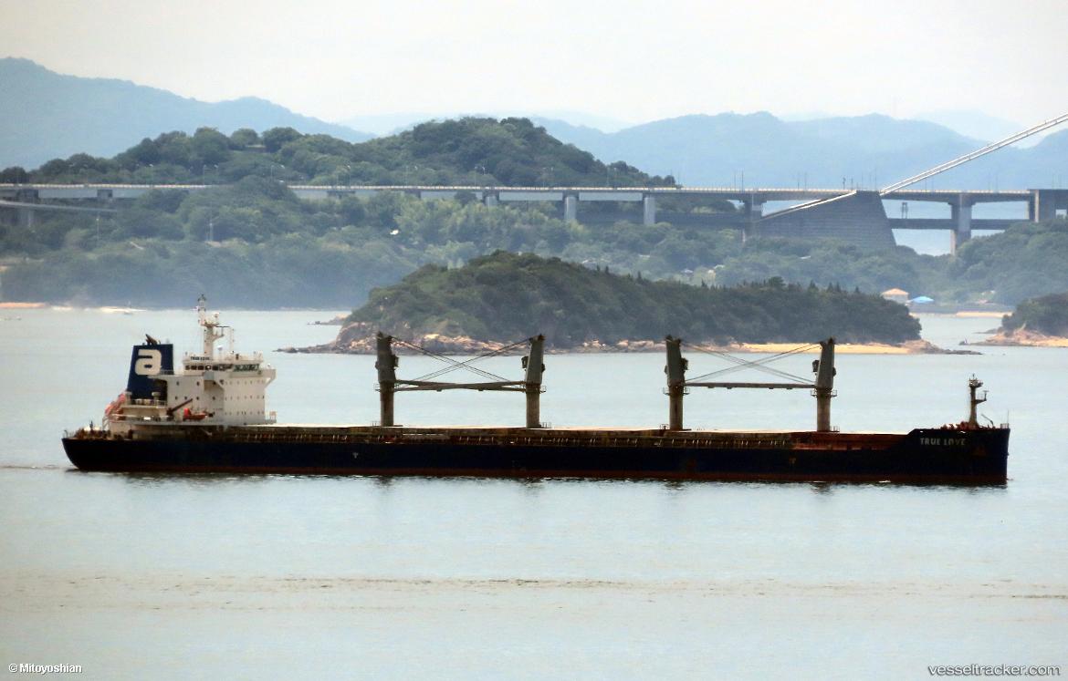 Ubc-Houston - Bulk Carrier vessel