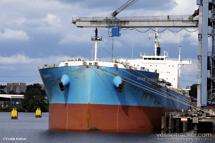 Synthesea - Bulk Carrier vessel
