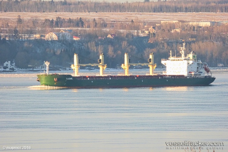 Carme - Bulk Carrier vessel