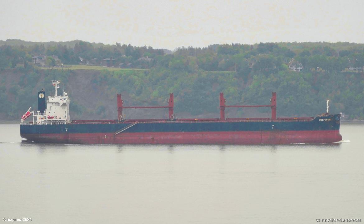 Belforest - Bulk Carrier vessel