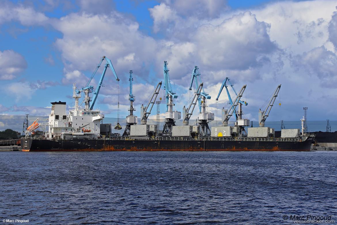 V-Uno - Bulk Carrier vessel