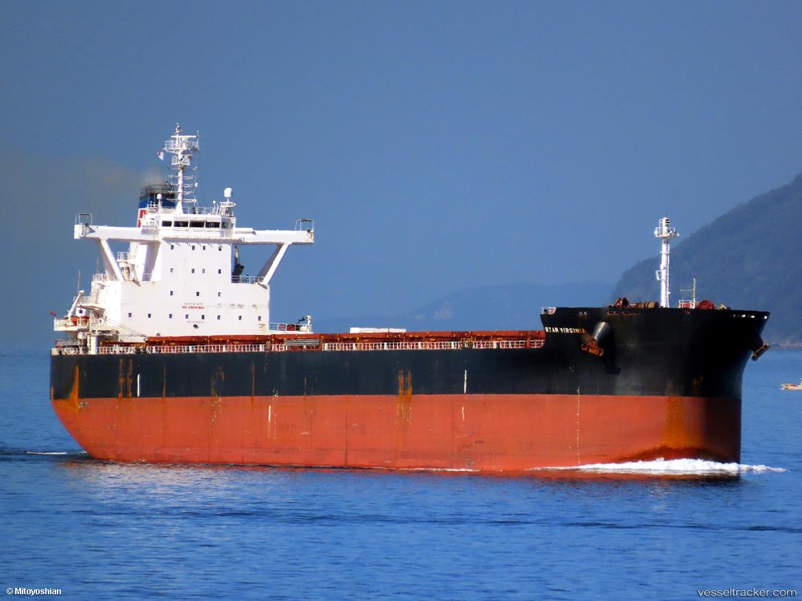 Star-Virginia - Bulk Carrier vessel