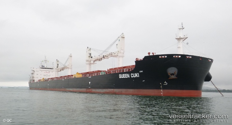 Cape-Town-Eagle - Bulk Carrier vessel