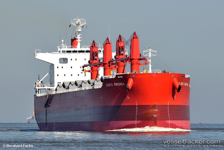 Goofy - Bulk Carrier vessel