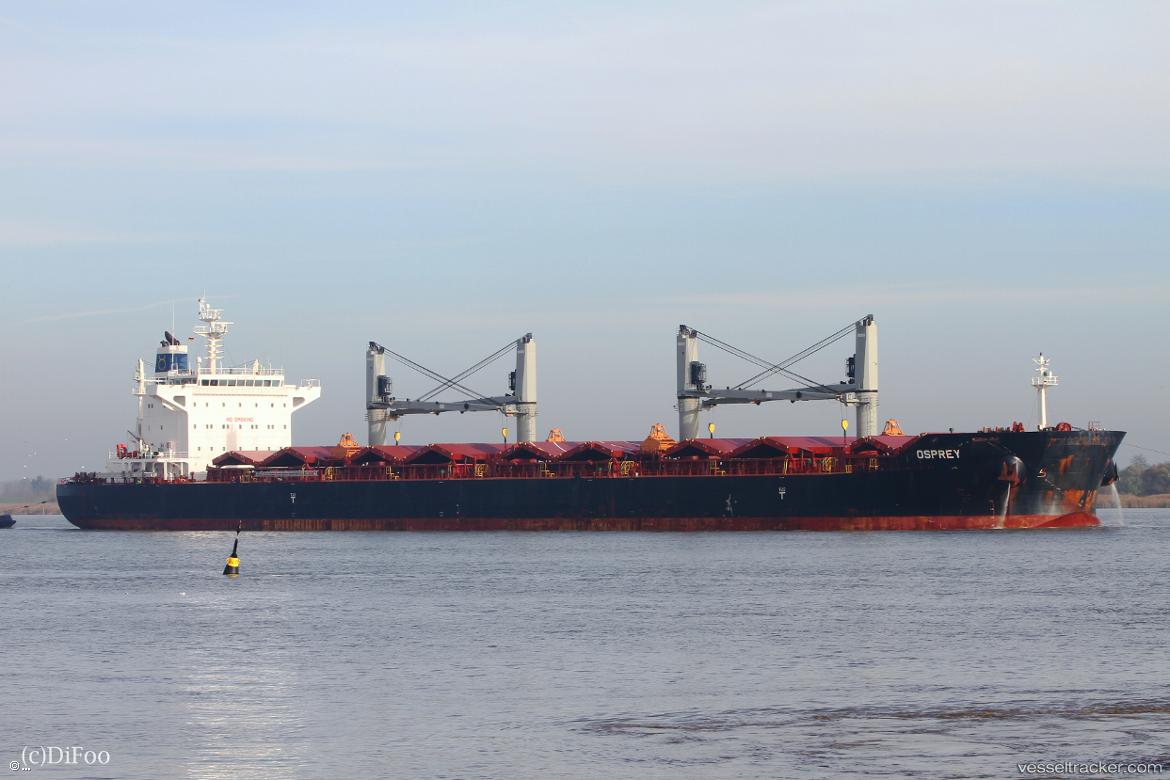Osprey - Bulk Carrier