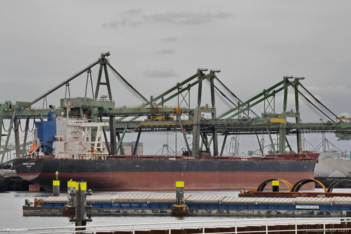 Golden-Kaki - Bulk Carrier vessel