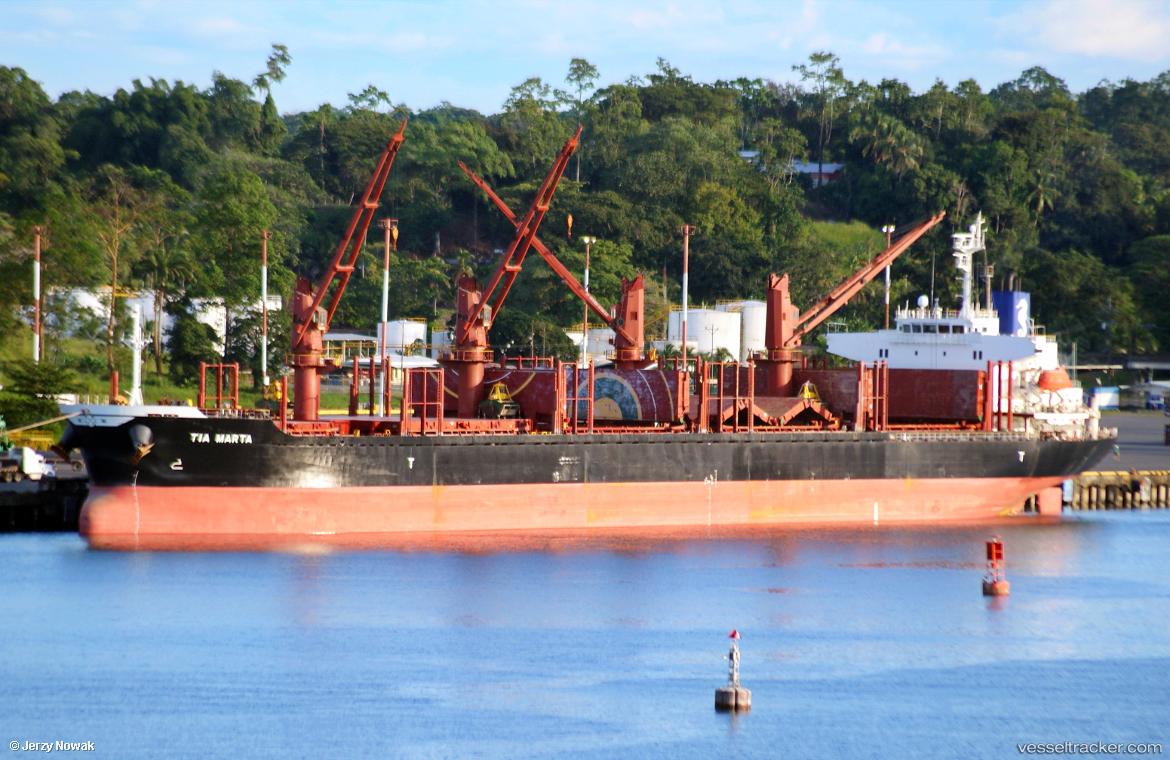 Adaline - Bulk Carrier vessel