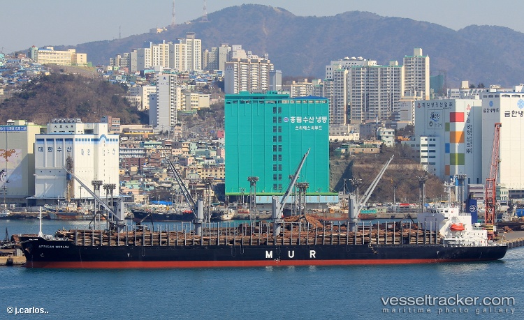 African-Merlin - Bulk Carrier vessel