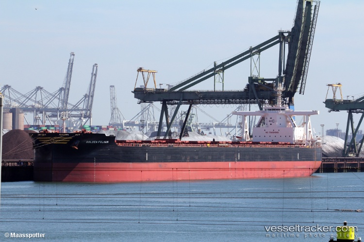 Golden-Fulham - Bulk Carrier vessel