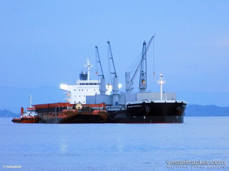 Crimson-Spoonbill - Bulk Carrier vessel