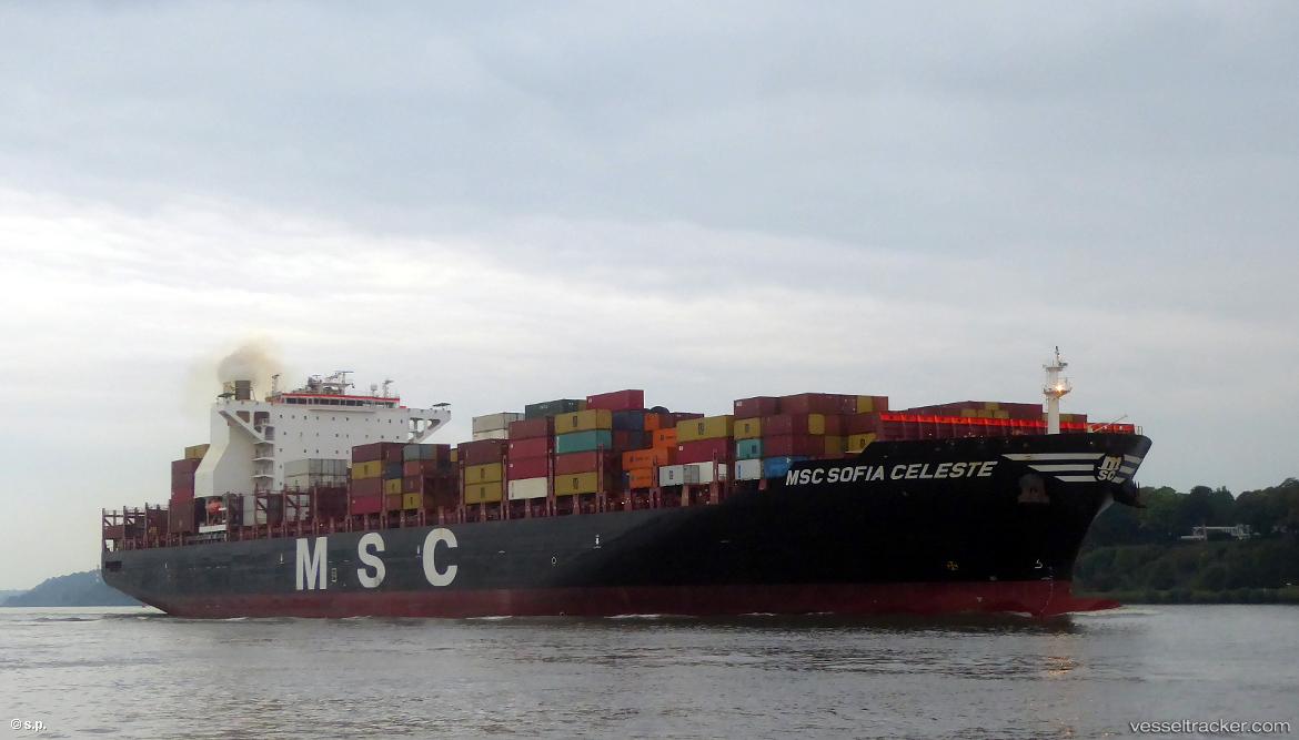 Msc-Sofia-Celeste - Container Ship vessel