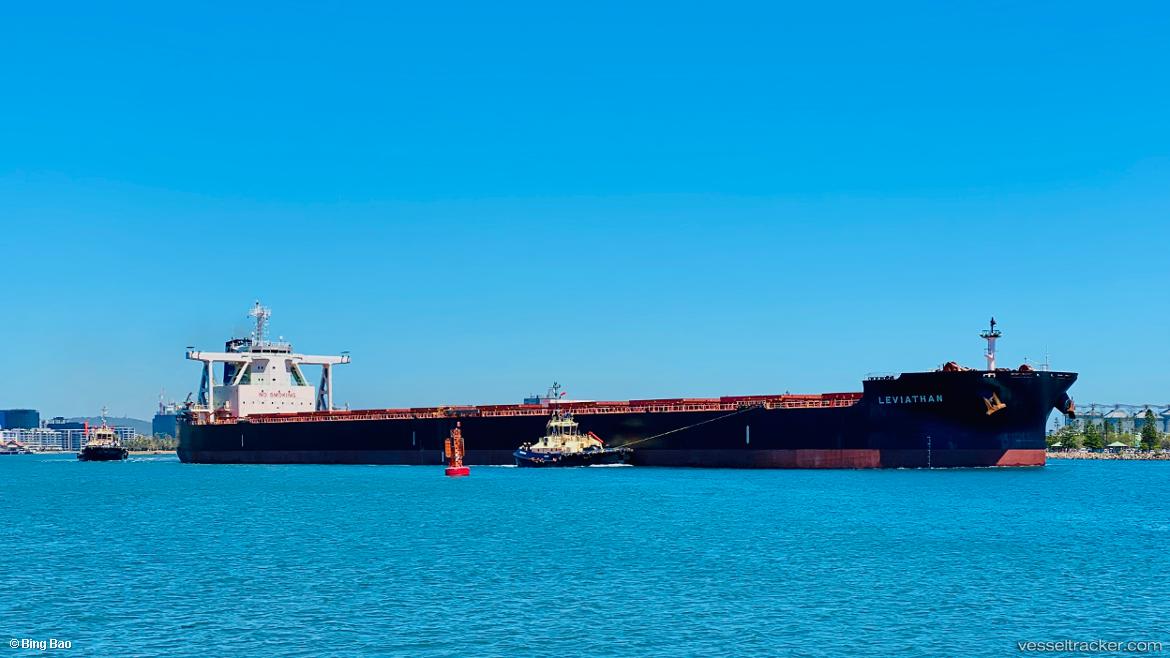 Leviathan - Bulk Carrier vessel