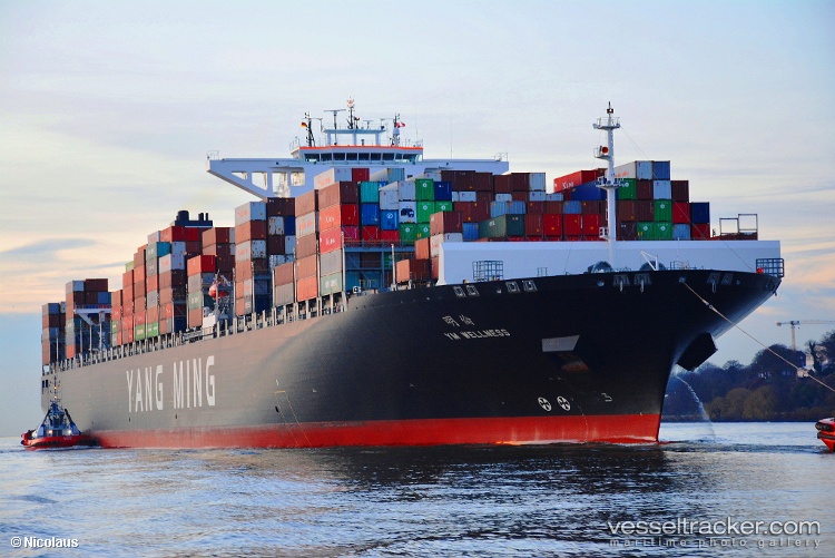 Ym-Wellness - Container Ship vessel