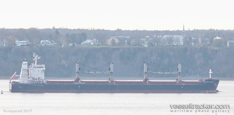 Star-Westport - Bulk Carrier vessel