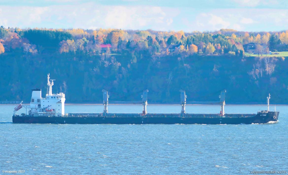 V-Tre - Bulk Carrier vessel