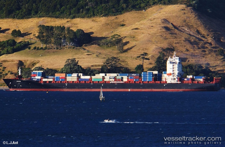Wiking - Container Ship vessel
