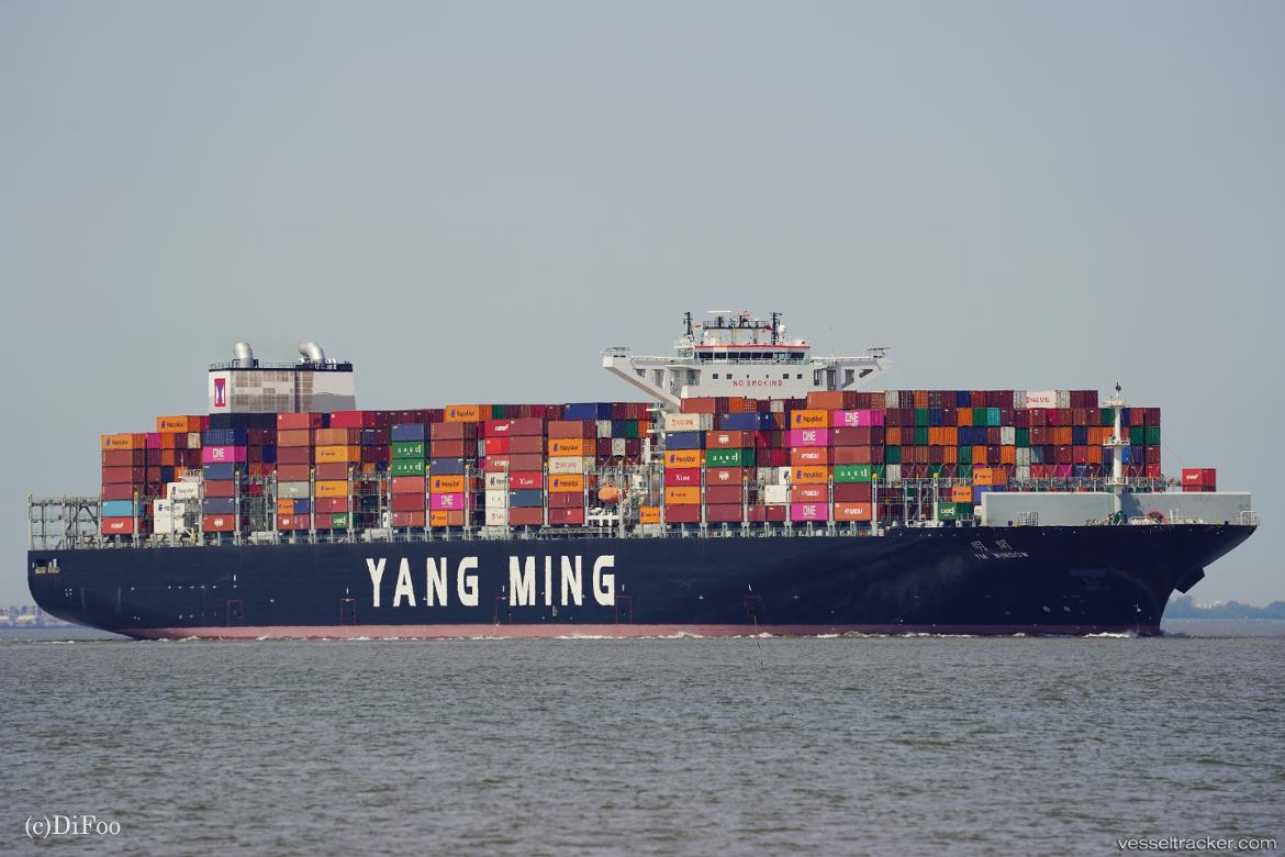 Ym-Window - Container Ship vessel