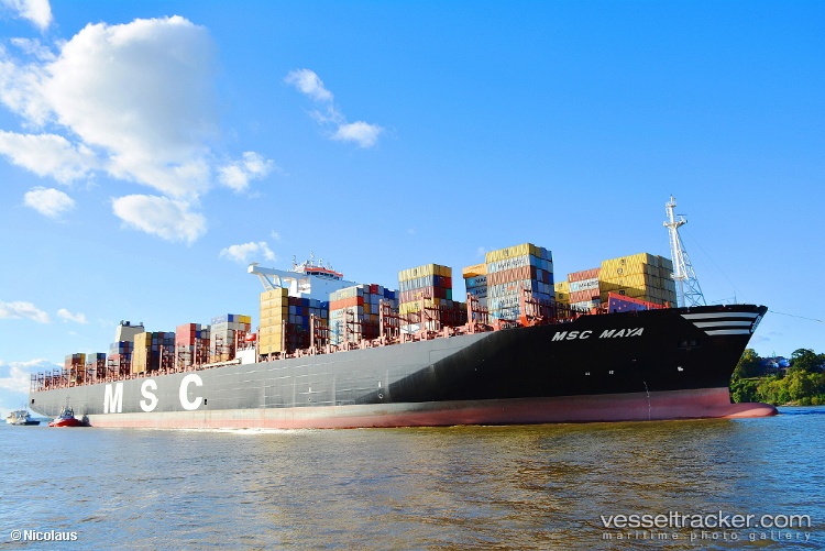 Msc-Maya - Container Ship vessel