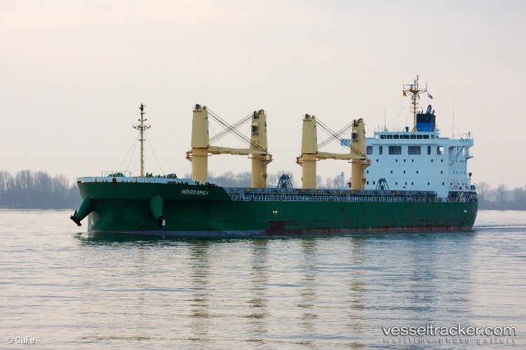 Indigo-Spica - Bulk Carrier vessel