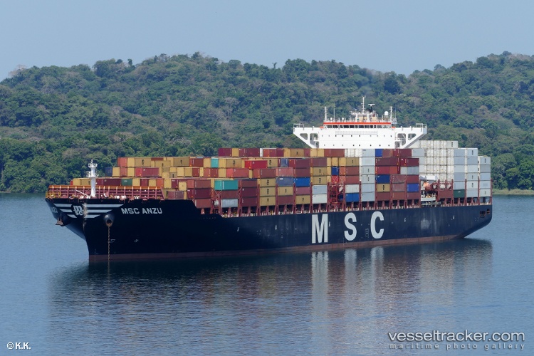 Msc-Anzu - Container Ship vessel