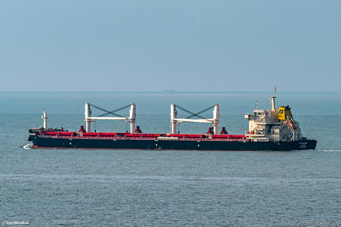 Cp-Nanjing - Bulk Carrier vessel