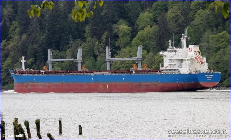 Tiger-Pioneer - Bulk Carrier vessel