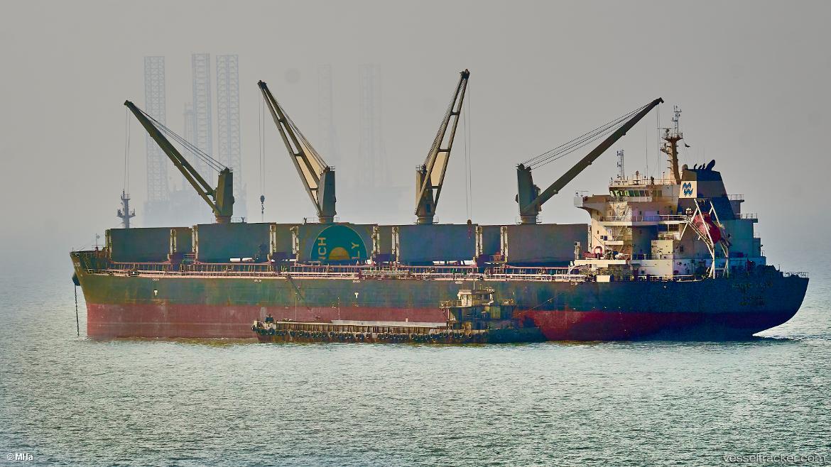 Pacific-Valor - Bulk Carrier vessel