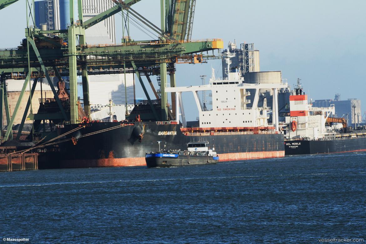 Gargantua - Bulk Carrier vessel