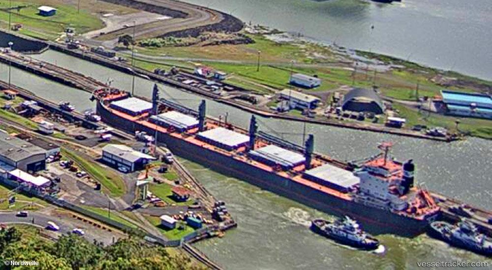 Pacific-Constant - Bulk Carrier vessel