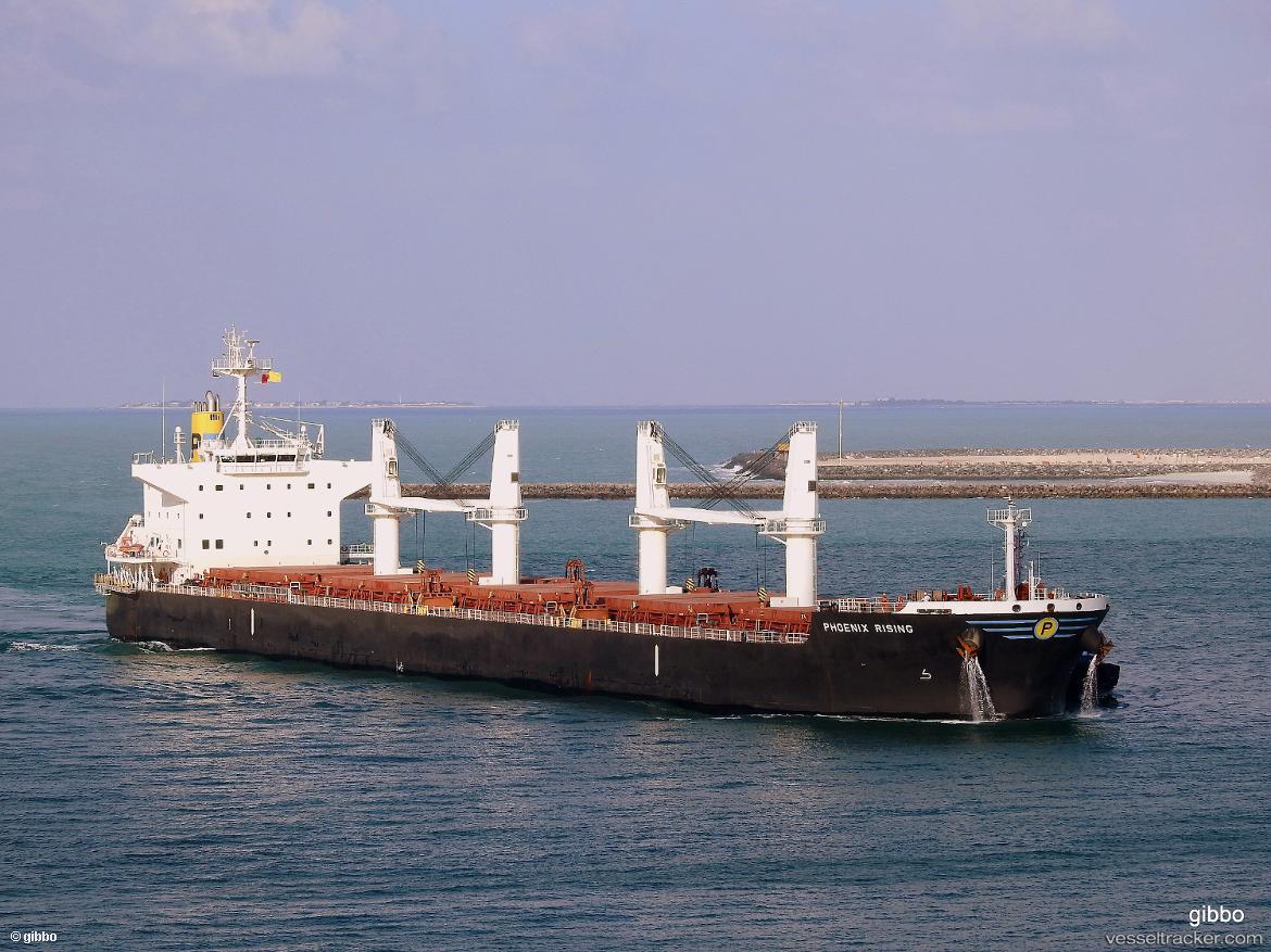 Astro-Regulus - Bulk Carrier vessel